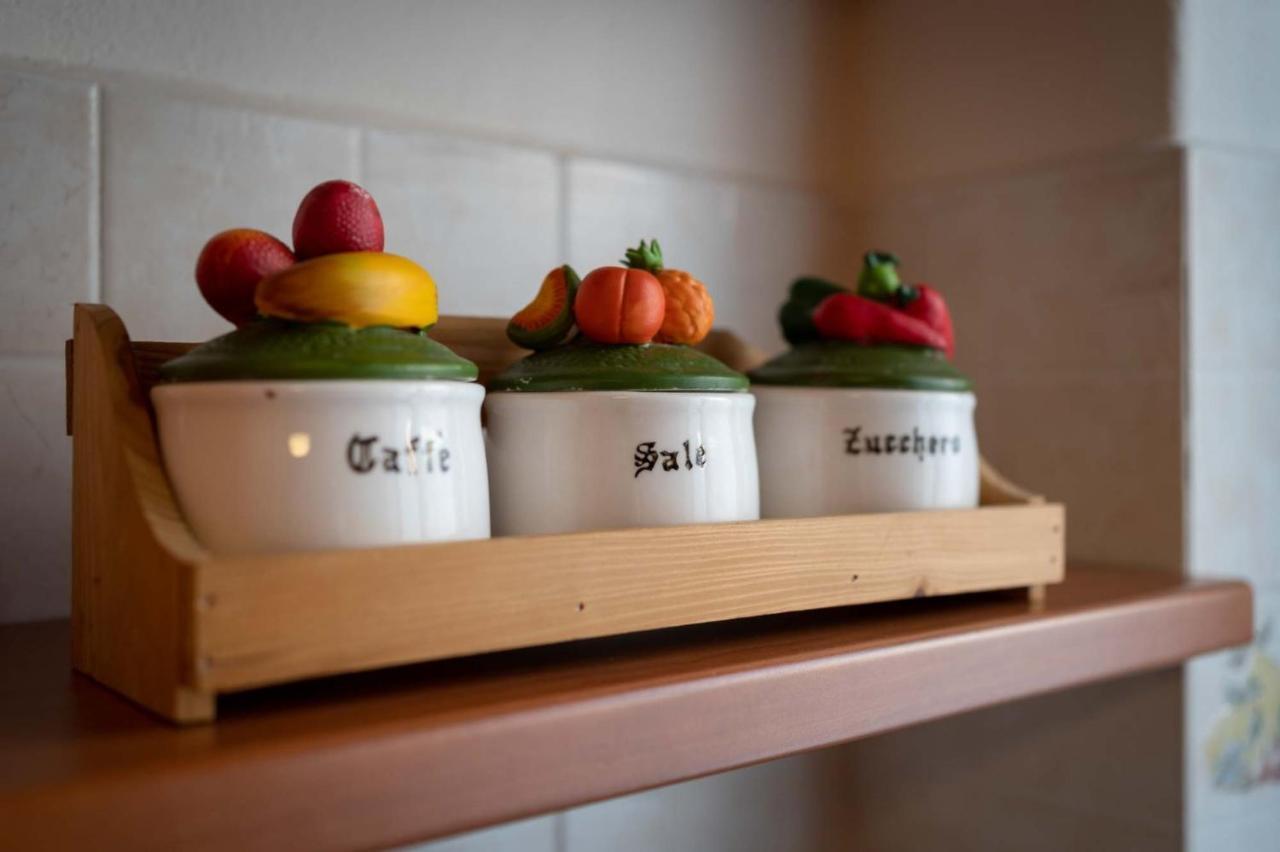 Apartament Casa Martina- Airport Free Shuttle-H24 Bergamo Zewnętrze zdjęcie