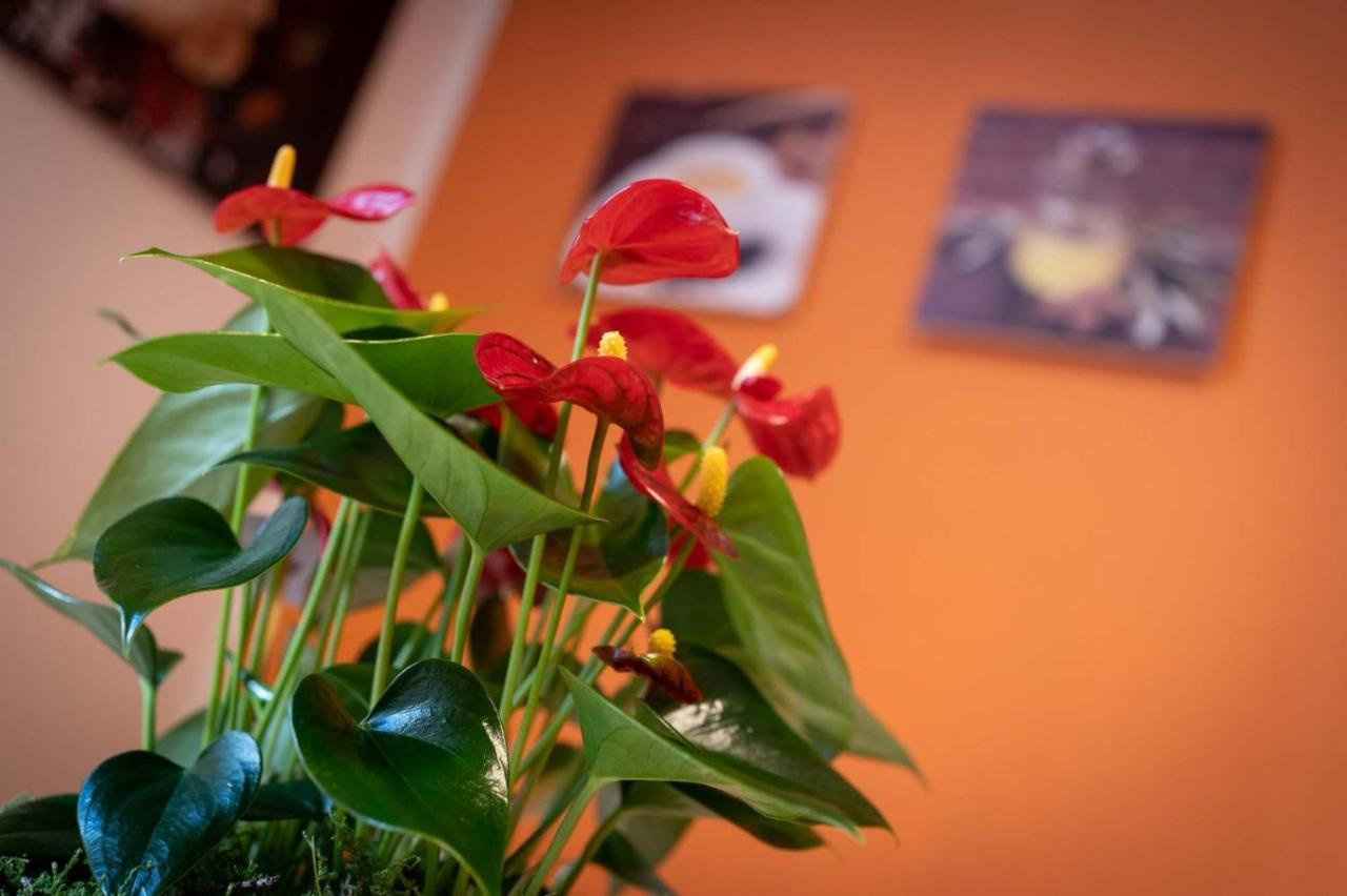 Apartament Casa Martina- Airport Free Shuttle-H24 Bergamo Zewnętrze zdjęcie